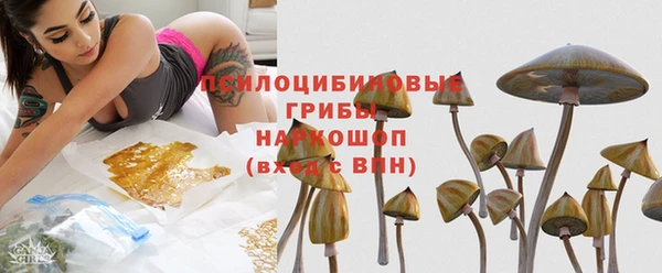 мяу мяу мука Алзамай