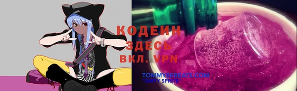 крисы Покачи