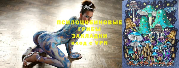 винт Алексеевка