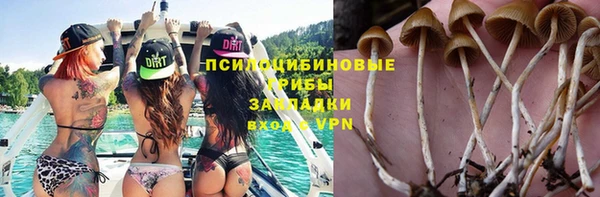 винт Алексеевка
