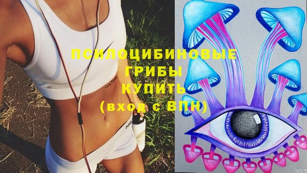 спайс Алексин