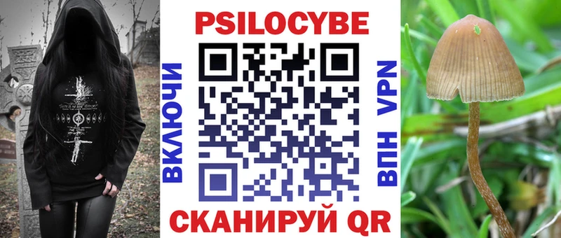 Псилоцибиновые грибы GOLDEN TEACHER  продажа наркотиков  Орлов 
